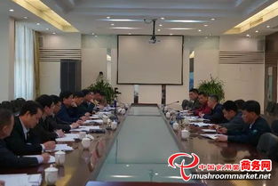 福建漳州市領導深入臺商投資區，全力推進食用菌工廠化生產與投資管理工作