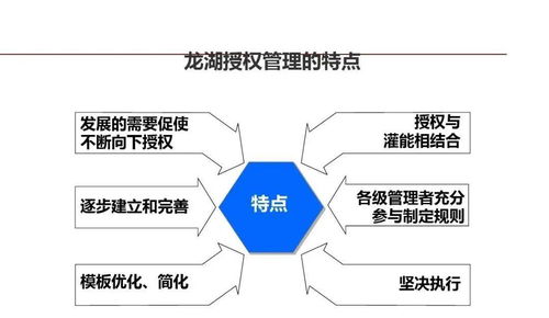 龍湖集團 以精細化管理鑄就卓越企業運營典范